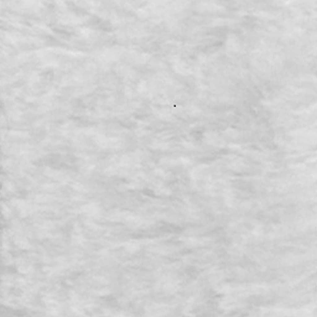 Tela Pelo Corto Blanco Tienda de disfraces online - Mercadisfraces