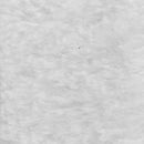 Tela Pelo Corto Blanco Tienda de disfraces online - Mercadisfraces