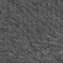 Tela Pelo Corto Gris Oscuro Tienda de disfraces online - Mercadisfraces