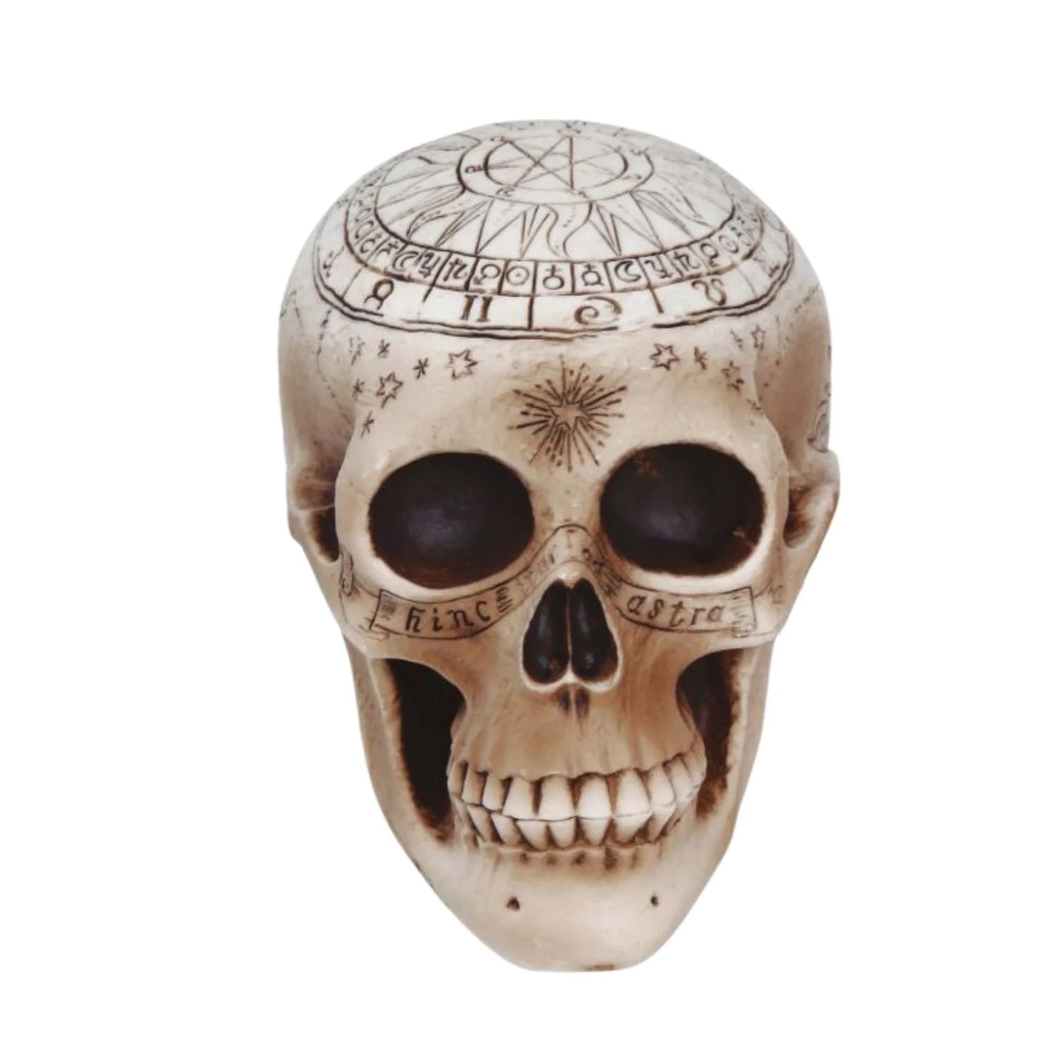 calavera de espiritismo 20 cm con símbolos esotéricos complemento para look mágico Halloween