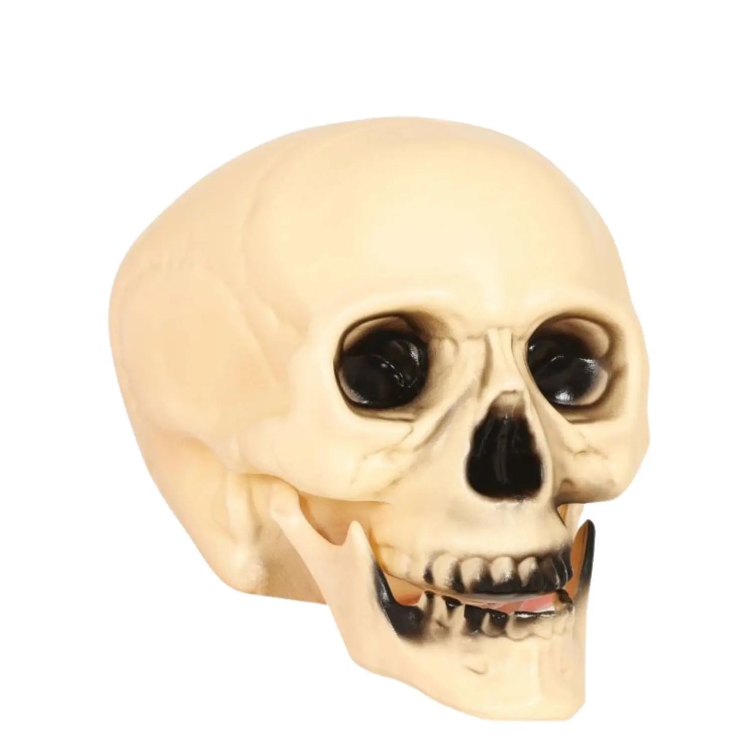 calavera decorativa de 20 cm para ambientación terror Halloween