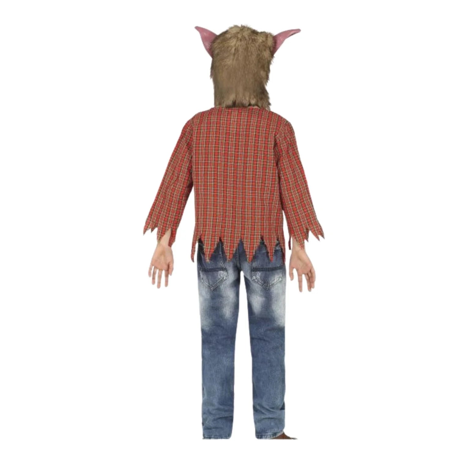 Niño con disfraz lobo niño completo con máscara