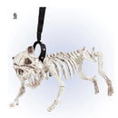 Esqueleto perro con correa 45 cm accesorio terror para decoración Halloween o ambientación espeluznante