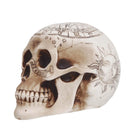 Calavera Espiritismo 20 cm.