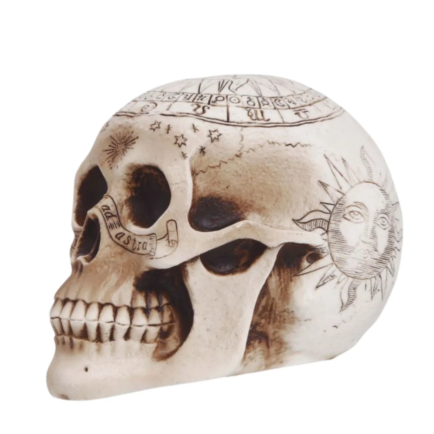 Calavera Espiritismo 20 cm.