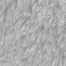 Tela Pelo Corto Gris Tienda de disfraces online - Mercadisfraces