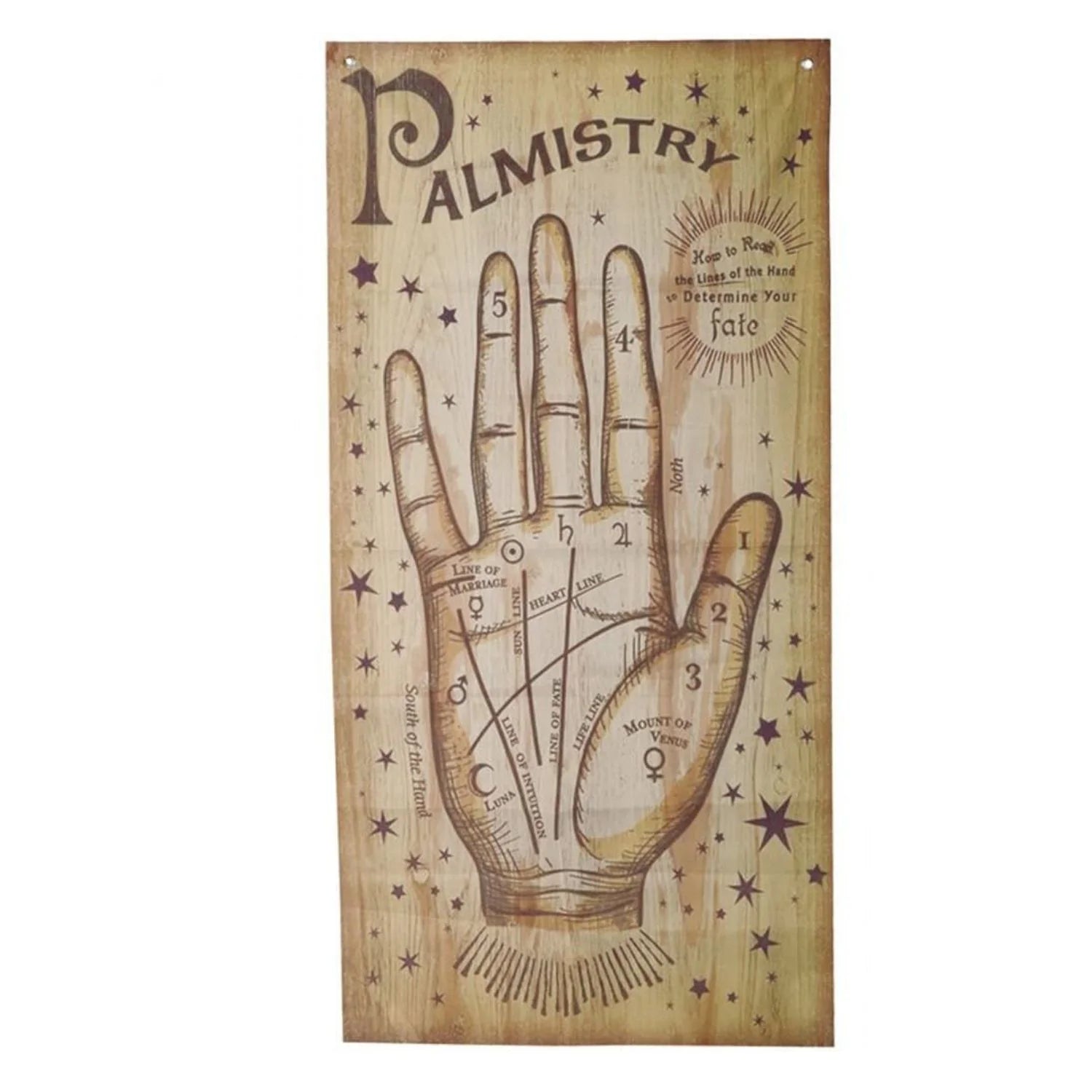 cartel decorativo esotérico de quiromancia con mano de la fortuna estilo vintage