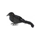 Cuervo plumas negro accesorio terror para decoración y completar look oscuro en Halloween
