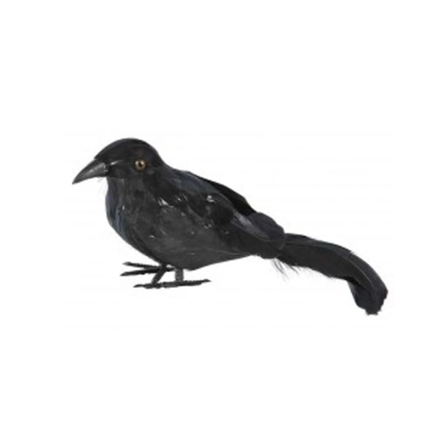 Cuervo plumas negro accesorio terror para decoración y completar look oscuro en Halloween