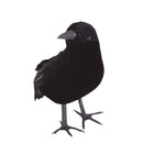 cuervo de plumas terror 21 cm decoración Halloween realista ambiente oscuro