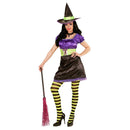 Disfraz Bruja Colorines Adulta con vestido negro y morado y sombrero de bruja