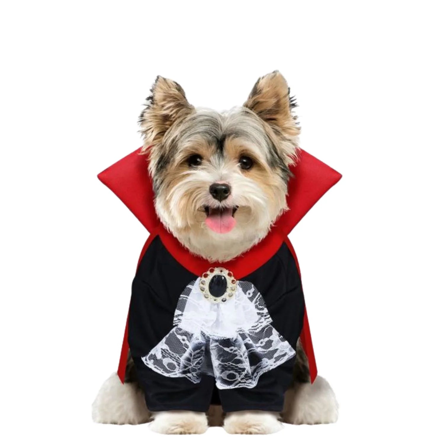 Disfraz Drácula para mascota con capa y mono vampiro