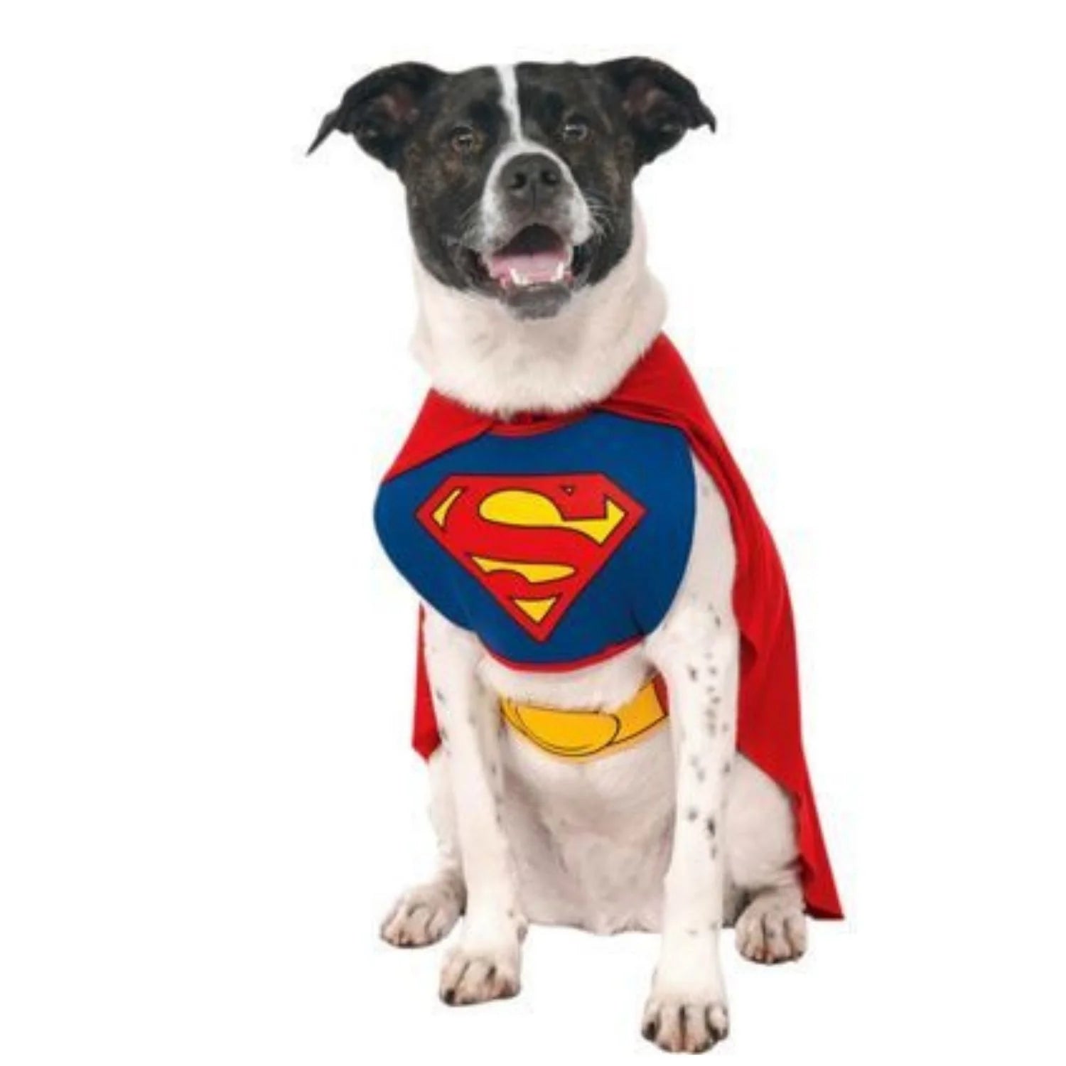 Perro con disfraz de Superman para mascota con capa roja y símbolo de superhéroe