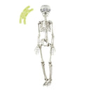 Esqueleto animado de 90 cm para Halloween con cabeza giratoria, ojos luminosos y sensor de sonido