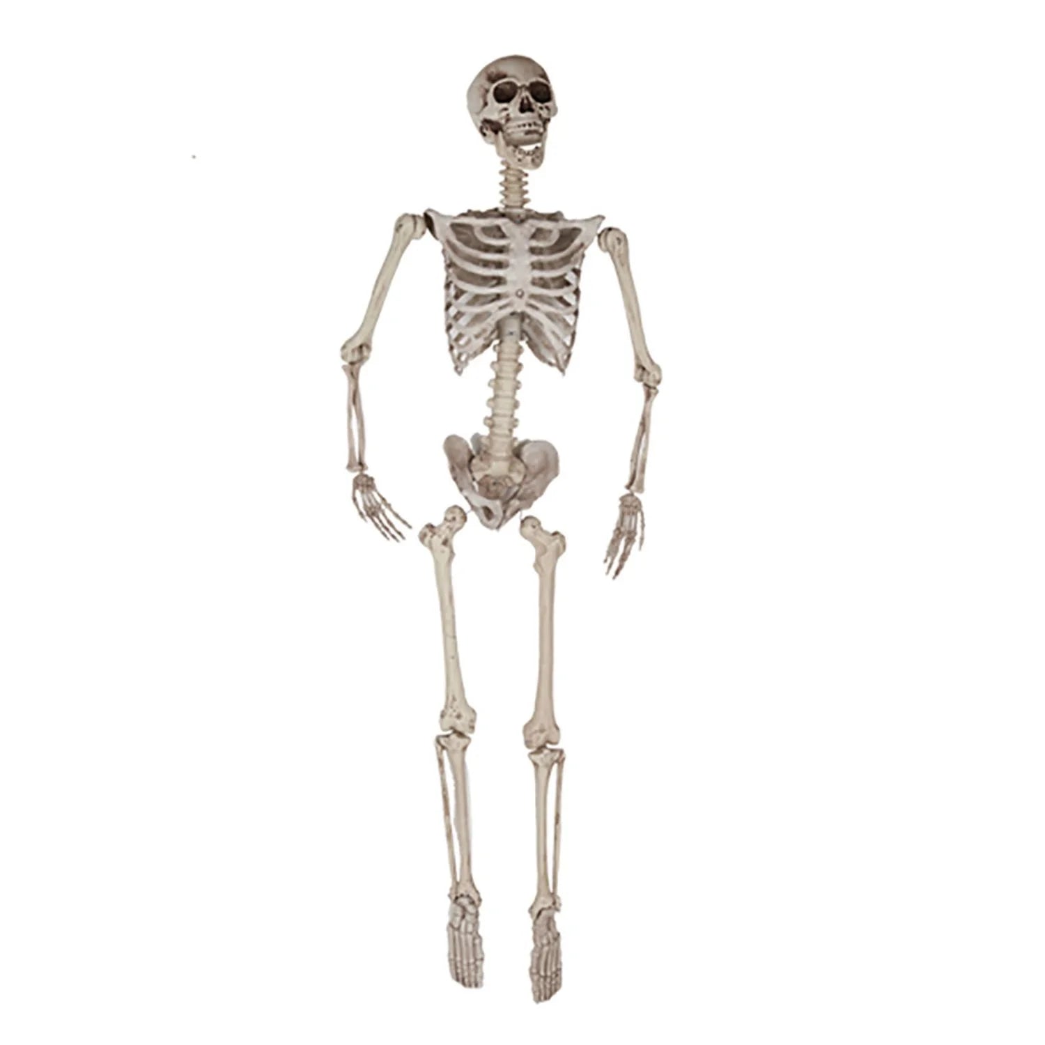esqueleto decorativo de 165 cm para halloween terrorifico
