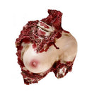 torso de mujer ensangrentado decoración para ambientación de terror y halloween en fiestas temáticas
